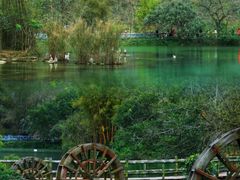 -靖西鹅泉风景区