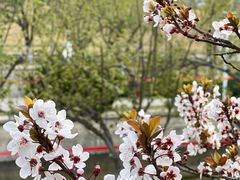 -元大都城垣遗址公园