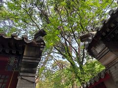 -潭柘寺景区