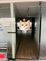 -恩舍瑜伽普拉提