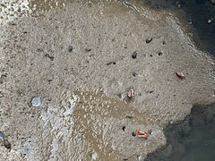 -北海金海湾红树林生态旅游区