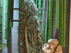 -雀舞云南菜(天津天河城购物中心店)