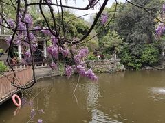 -郑和公园