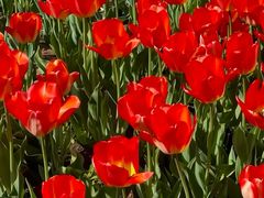 -河南省体育场馆中心游泳馆