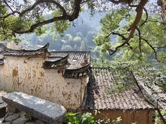 -杨家堂村