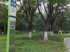 -后襄河公园
