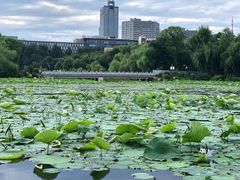 -长春市南湖公园