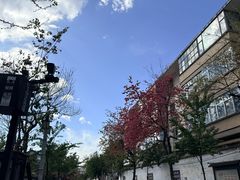 -喜洲杨记破酥粑粑