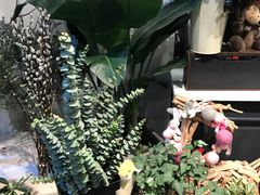 -植物学家的女儿(北马道巷店)