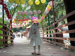-野象谷景区