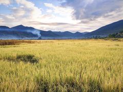 -泸沽湖国家级风景名胜区走婚桥