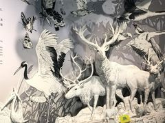-中国湿地博物馆