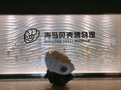 -青岛贝壳博物馆