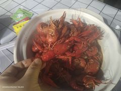 -狮龙啤酒烧烤屋(建二路店)