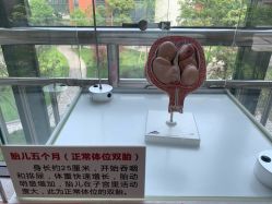 -重庆市妇幼保健院(冉家坝院区)