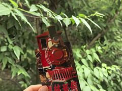 -日照海滨国家森林公园
