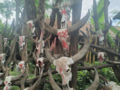 -云南民族村
