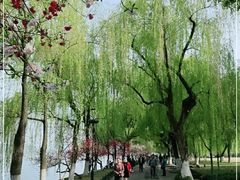 -柳浪闻莺公园