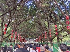 -南岳衡山风景名胜区-南岳大庙