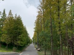 -上海长兴岛郊野公园