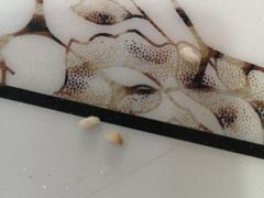 -牛庄高晓山风味馅饼城(海城店)