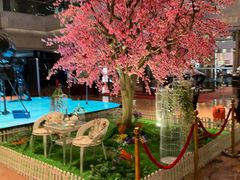 -上海银星皇冠假日酒店
