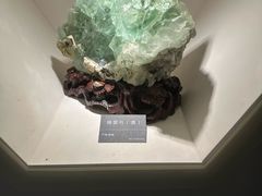 -安徽省地质博物馆