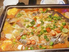 湄公鱼-炉鱼(天河领展店)