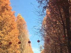 -捞渔河湿地公园