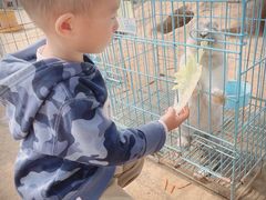 -前小桔亲子创意农场·草莓采摘·露营烧烤