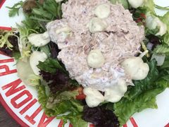 -Tubestation站点比萨(五道营店)