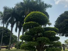 -石炮台公园
