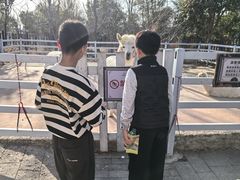 -洪泽湖古堰景区