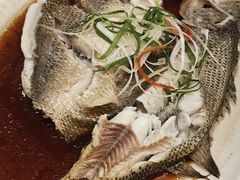 清蒸鲈鱼-华盛丰温州大排档(东三环南路店)