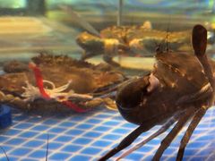 -海立阁海鲜江浙菜(漕河泾印象城店)