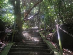 -七仙岭温泉国家森林公园