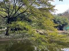 -广州雕塑公园