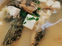 昂刺鱼豆腐汤-状元楼(金溪路店)
