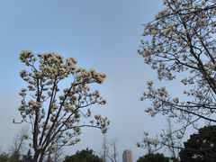 -明故宫遗址公园
