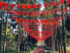 -上海长兴岛郊野公园