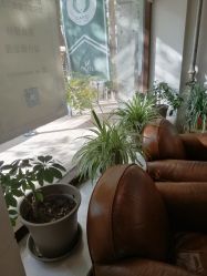 点击看大图 -M+hair salon专业造型沙龙
