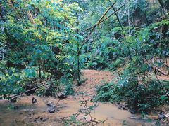 -滴水岩森林公园