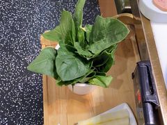 -洪氏嗨捞·猪肚鸡火锅(阳光天地店)