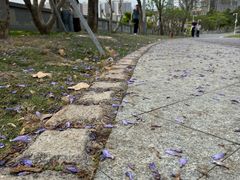 -白石龙音乐公园