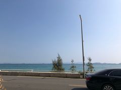 -杨梅坑