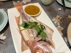 -大浪潮·潮汕菜·招牌生腌小青龙(福田店)