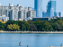 -海珠湖公园