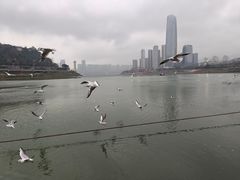 -中国宜宾·长江地标广场