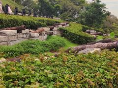 -胡里山炮台