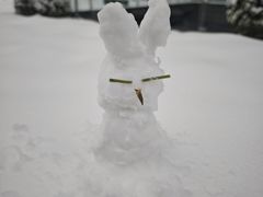 -小龙坎老火锅(北京三里屯店)